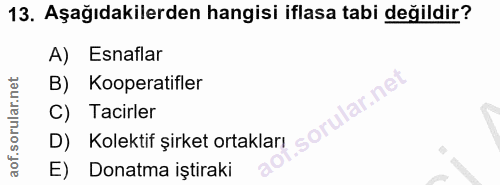 Soru 13
