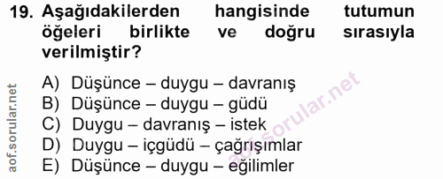 Soru 19
