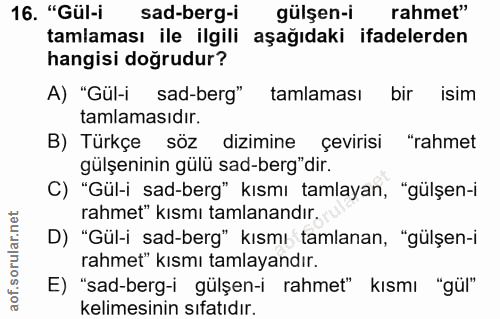 Soru 16