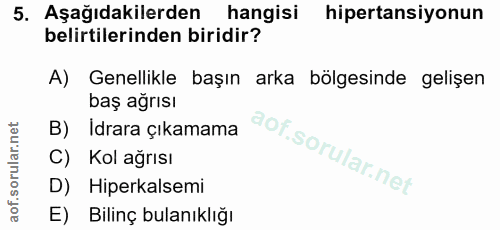 Soru 5