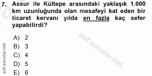 Soru 7