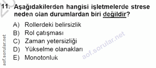 Soru 11