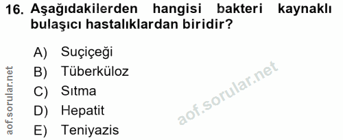 Soru 16