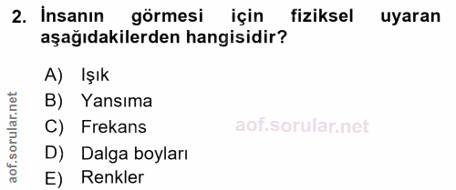 Soru 2