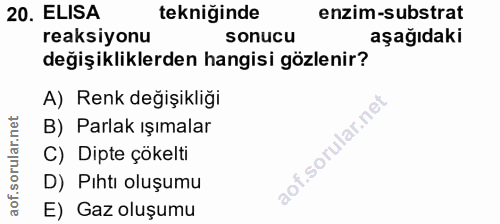 Soru 20
