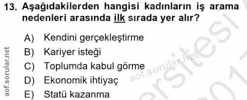 Soru 13