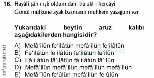 Soru 16
