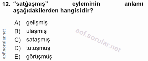 Soru 12