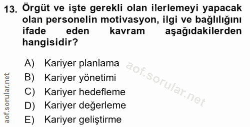 Soru 13