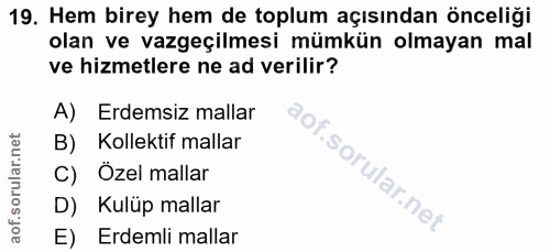Soru 19