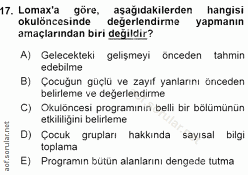 Soru 17
