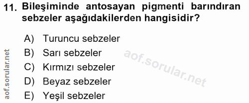 Soru 11