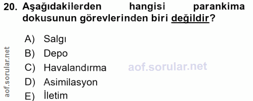 Soru 20
