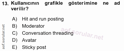 Soru 13