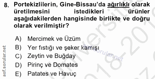 Soru 8