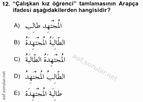 Soru 12