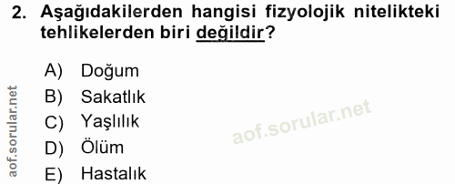 Soru 2