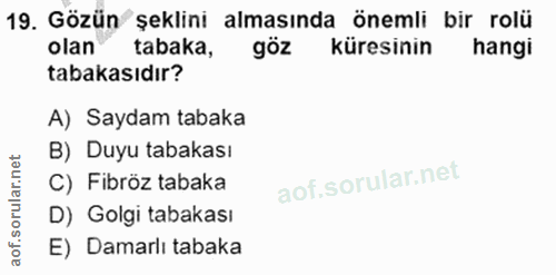 Soru 19