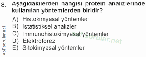 Soru 8