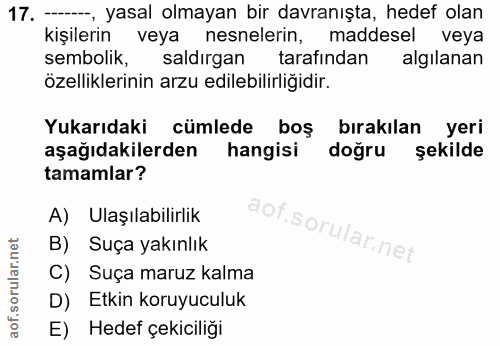 Soru 17