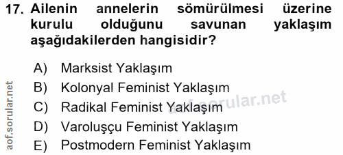Soru 17