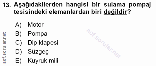 Soru 13