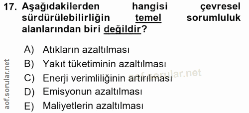 Soru 17
