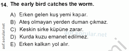 Soru 14