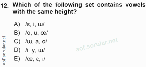 Soru 12