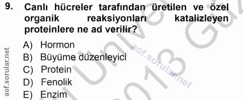 Soru 9