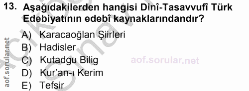 Soru 13
