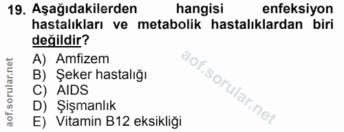 Soru 19