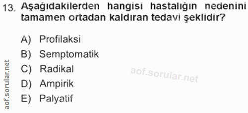 Soru 13