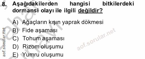 Soru 8