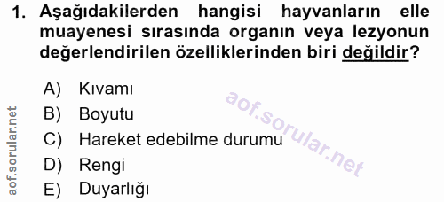 Soru 1