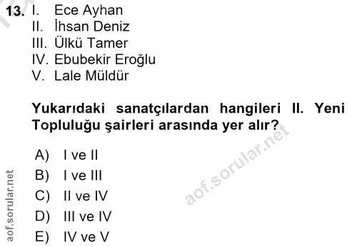Soru 13