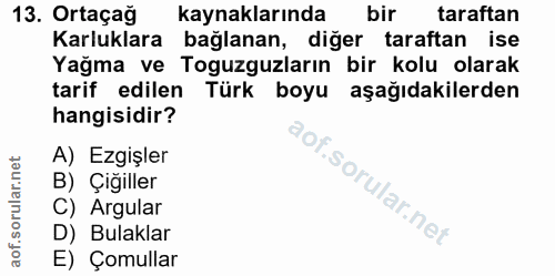 Soru 13