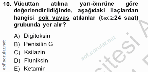 Soru 10