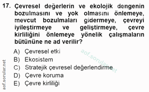 Soru 17