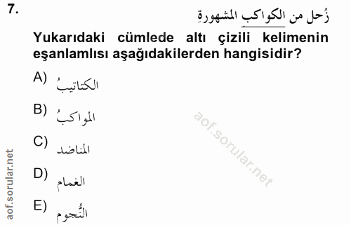 Soru 7