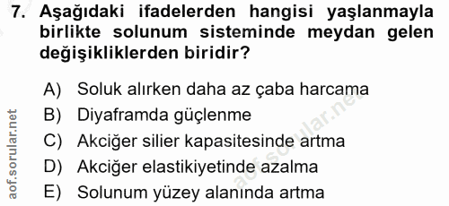 Soru 7