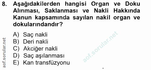 Soru 8