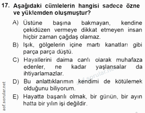 Soru 17