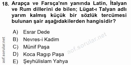 Soru 18