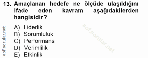 Soru 13