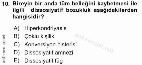 Soru 10