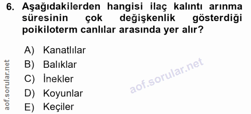 Soru 6