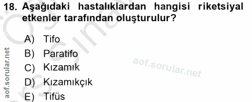 Soru 18