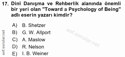 Soru 17