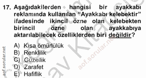 Soru 17